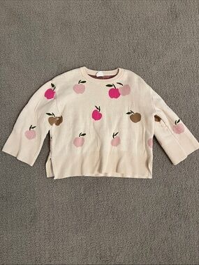 🩷 Baby GAP 100% Cotton Cream Sweater with Pink & Brown Fruit Motif 4Years